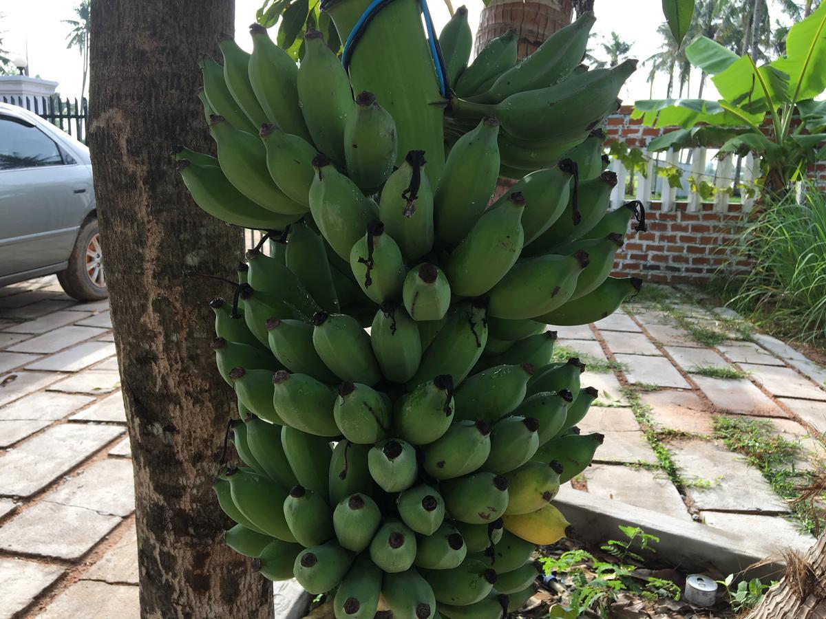Green Life Cottage Siem Reap Luaran gambar
