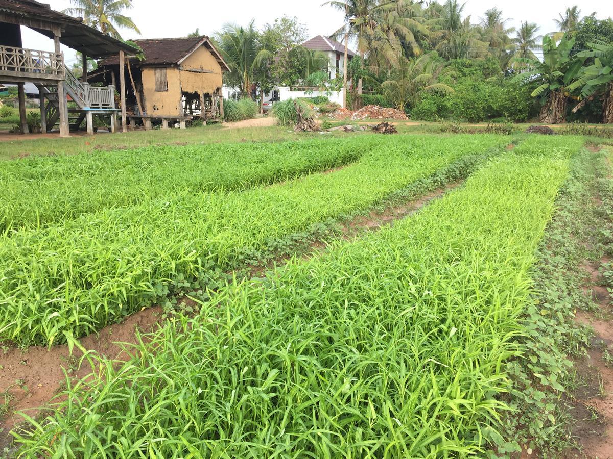 Green Life Cottage Siem Reap Luaran gambar