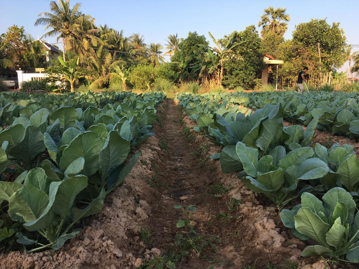 Green Life Cottage Siem Reap Luaran gambar