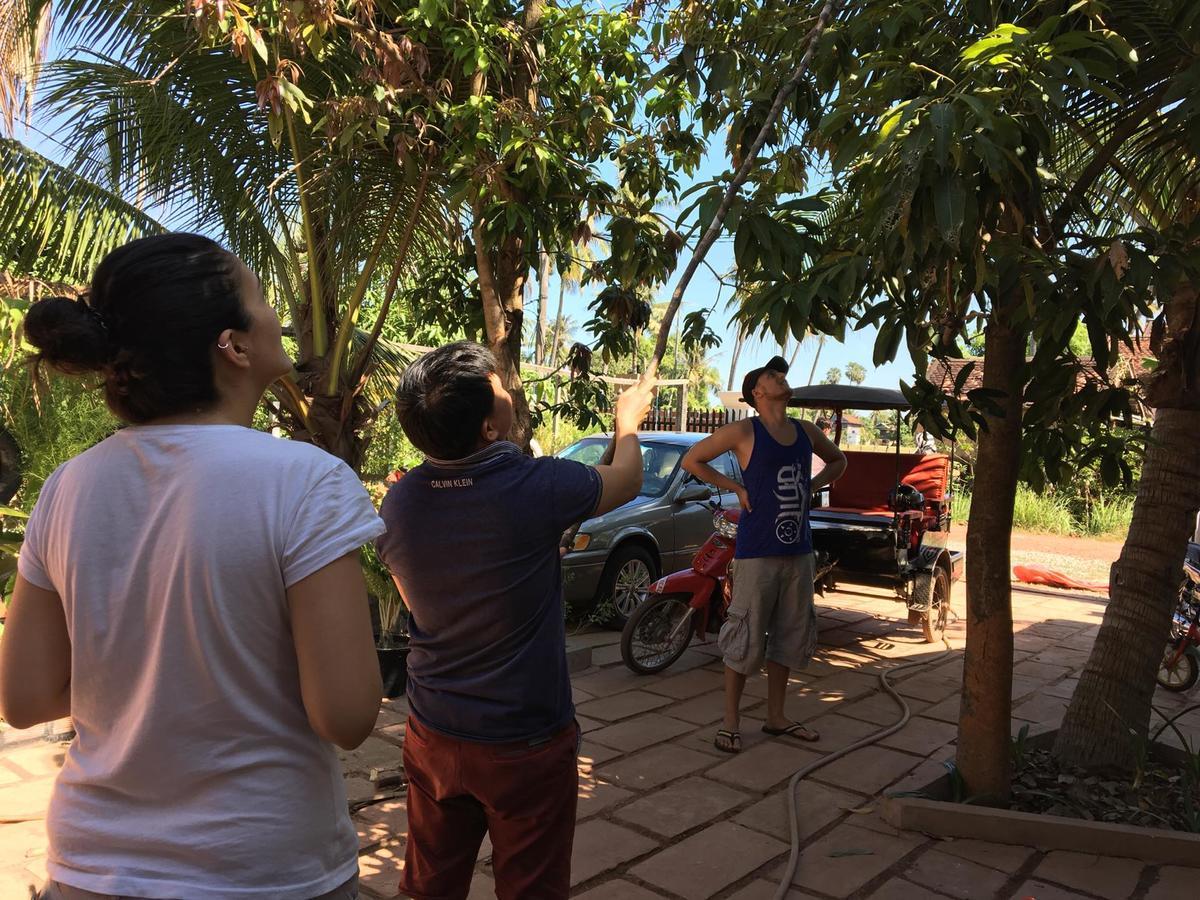Green Life Cottage Siem Reap Luaran gambar