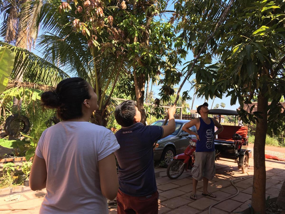 Green Life Cottage Siem Reap Luaran gambar