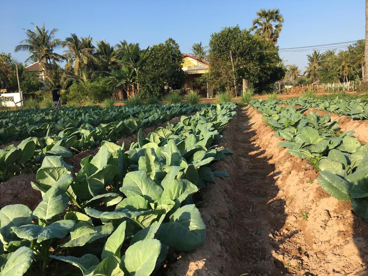 Green Life Cottage Siem Reap Luaran gambar